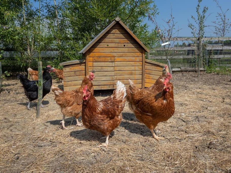Puck'S Retreat Bed & Breakfast Tredington Экстерьер фото